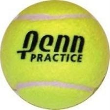 Penn Practice Tennis Balls - Doz