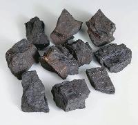 Coal Lignite, hand specimens - 470025-952