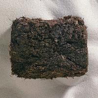 Coal, Peat, Hand Specimen - 470015-486