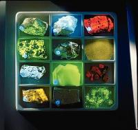 Fluorescent Mineral Collection - 470025-300
