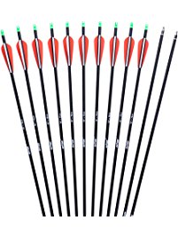 30" Aluminum Arrows With Plastic Vanes - Doz
