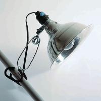 Light Bulbs, 150 Watts - 2/Pk- 470118-160