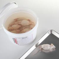 Mice, 2-3", Uninjected, Preserved -10/Pail - 470000-918