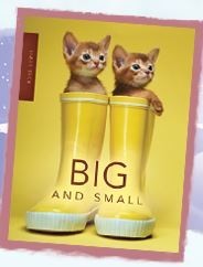 Big and Small Guided Reading Books, Pioneer Valley Books - WB11sp
