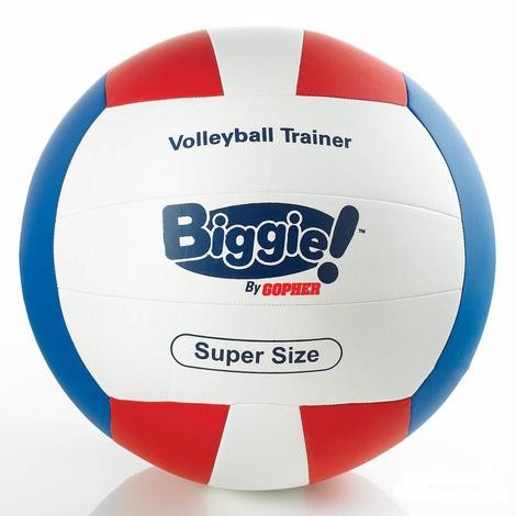 16" Oversized Volleyball Trainer, Biggie