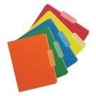 File Folders, Letter Size, 1/3 Cut, Two-Tone Reversible, Assorted Colors - 100/Pkg