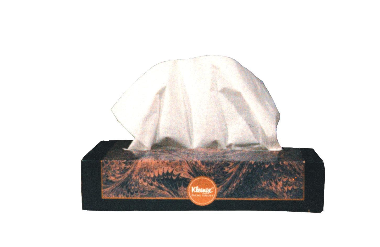Kleenex Tissues - 125/Box