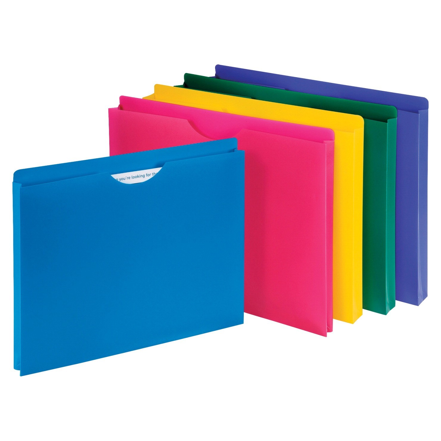 Poly File Jacket, Letter, Assorted Colors - 10/Pkg