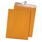 9 X 12 Catalog Envelopes, Pull & Seal Closure, Brown, Kraft - 100/Pkg