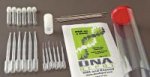 DNA on a Stick Activity - 10 Groups - WLS1753-00
