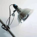 Clamp Lamp - 470004-224
