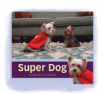 The Super Dog Guided Reading Book - JD63