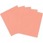 8-1/2 X 11 Copy Paper - Salmon - Ream